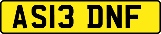 AS13DNF