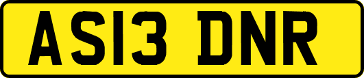 AS13DNR