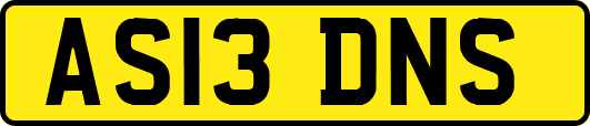 AS13DNS