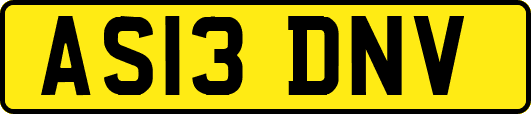 AS13DNV