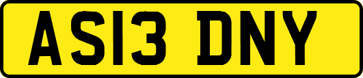 AS13DNY