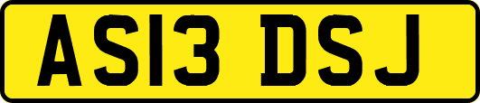 AS13DSJ