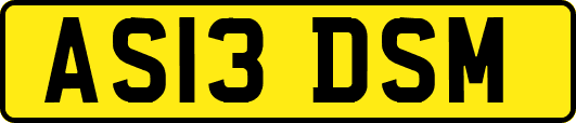 AS13DSM