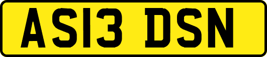 AS13DSN