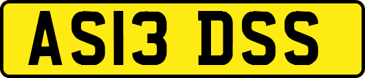 AS13DSS