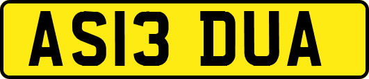 AS13DUA