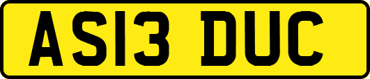 AS13DUC