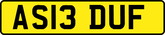 AS13DUF
