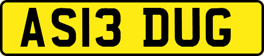 AS13DUG
