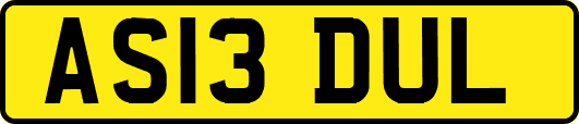 AS13DUL