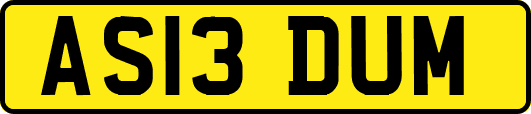 AS13DUM