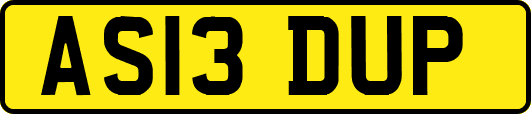 AS13DUP