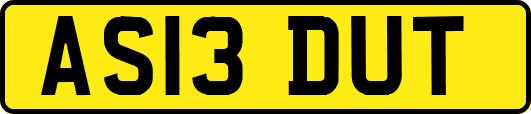 AS13DUT