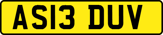 AS13DUV
