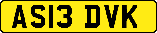 AS13DVK