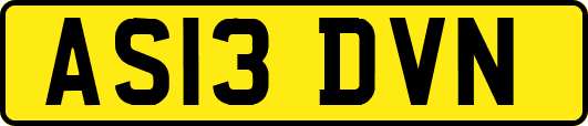 AS13DVN