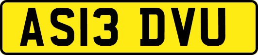 AS13DVU