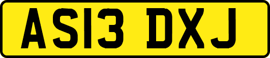 AS13DXJ