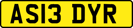AS13DYR