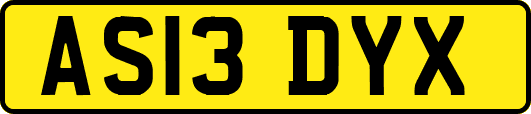 AS13DYX