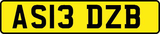 AS13DZB