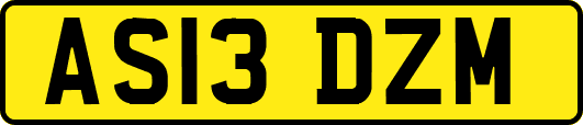 AS13DZM