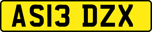 AS13DZX