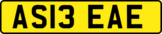 AS13EAE