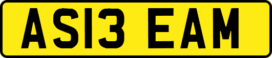 AS13EAM