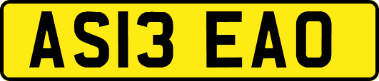 AS13EAO