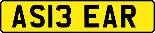 AS13EAR