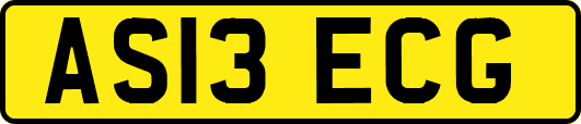 AS13ECG