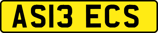 AS13ECS