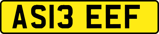 AS13EEF