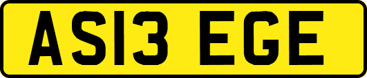 AS13EGE