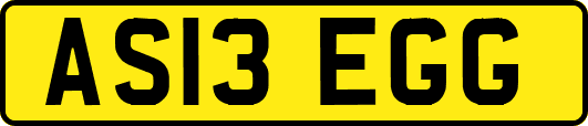 AS13EGG