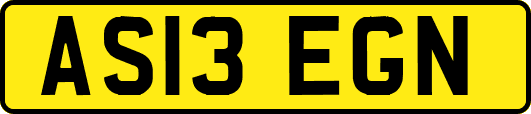 AS13EGN