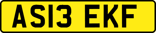 AS13EKF