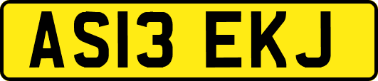 AS13EKJ