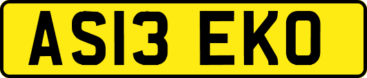 AS13EKO