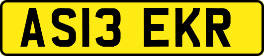 AS13EKR