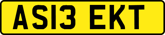 AS13EKT