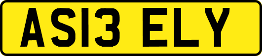 AS13ELY