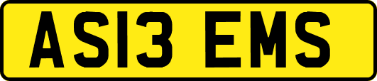 AS13EMS