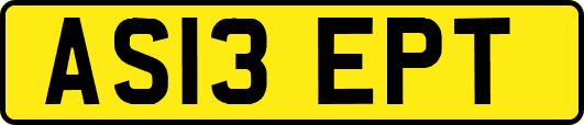AS13EPT