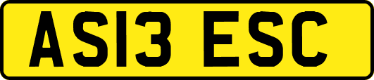AS13ESC