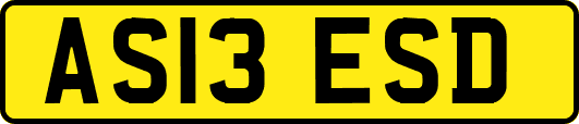 AS13ESD