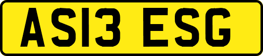 AS13ESG