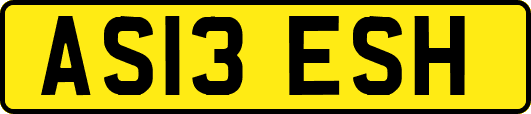 AS13ESH