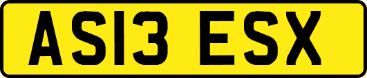 AS13ESX